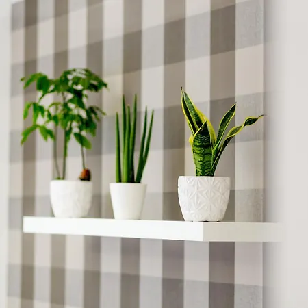 Zigzak Apartment