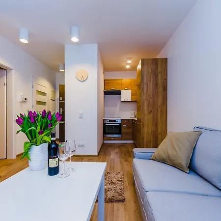 Zigzak Apartment