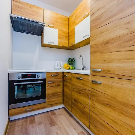 Apartment Zigzak *